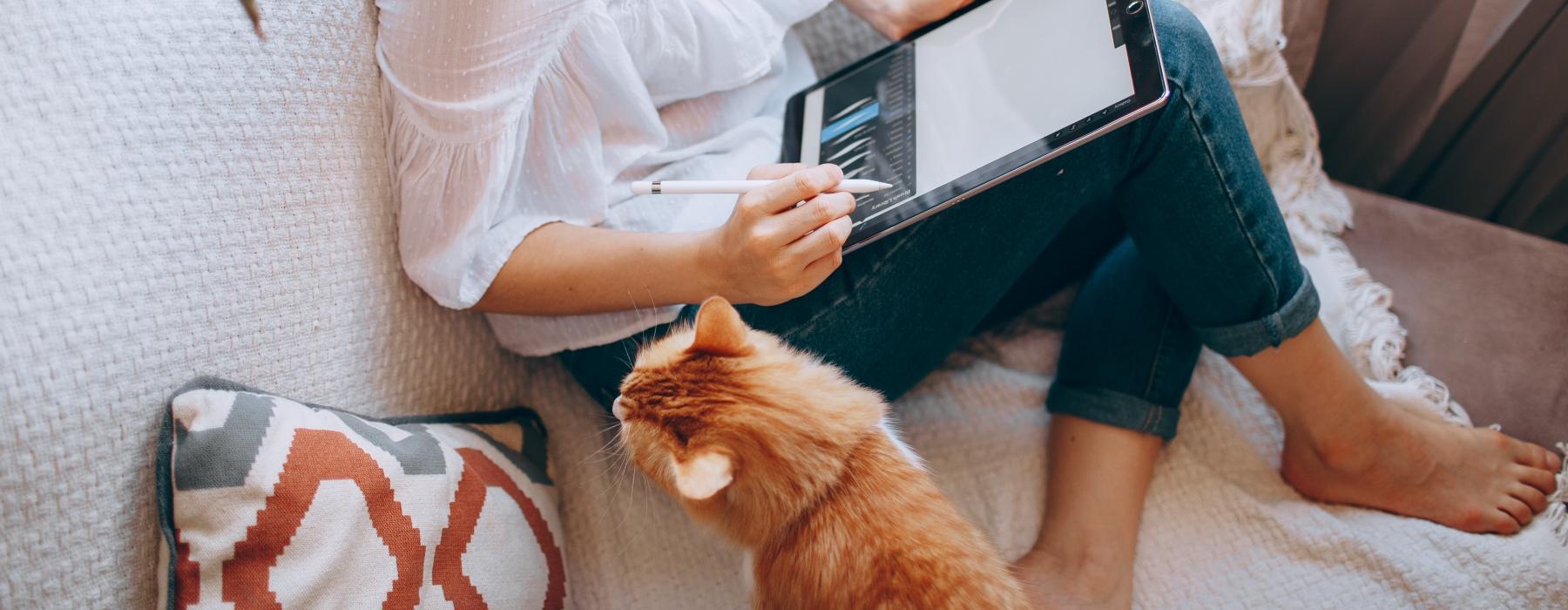 a person using a laptop on a bed with a cat